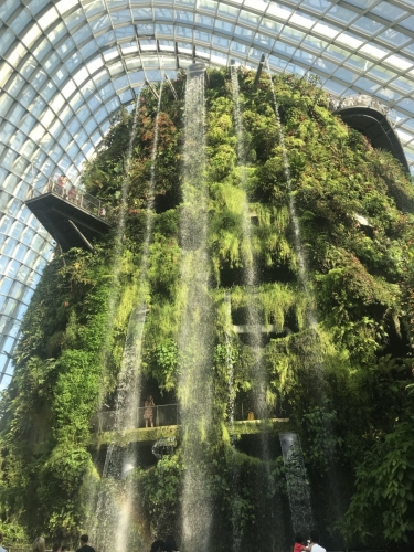 Cloud Forest - Gardens by the Bay, Singapore