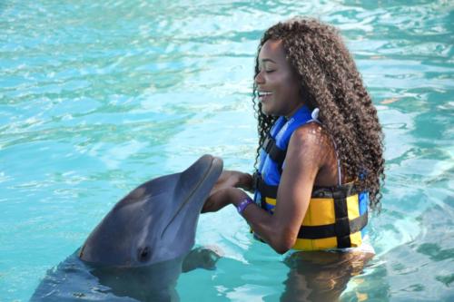 Dolphins! @ Grand Cayman, Cayman Islands